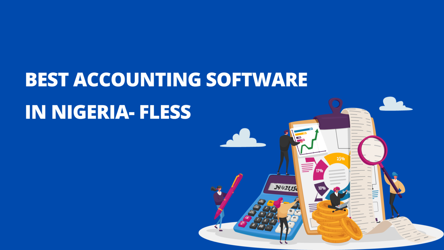 blog-Best Accounting Software in Nigeria – Fless